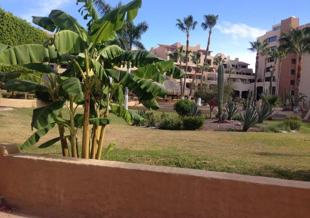 Photo of Outdoor in San Carlos