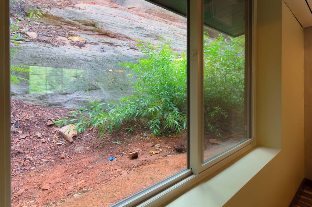 Photo of Others in Sedona