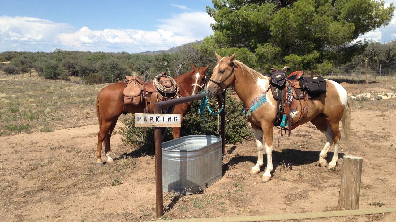 Photo of Others in Iron Springs