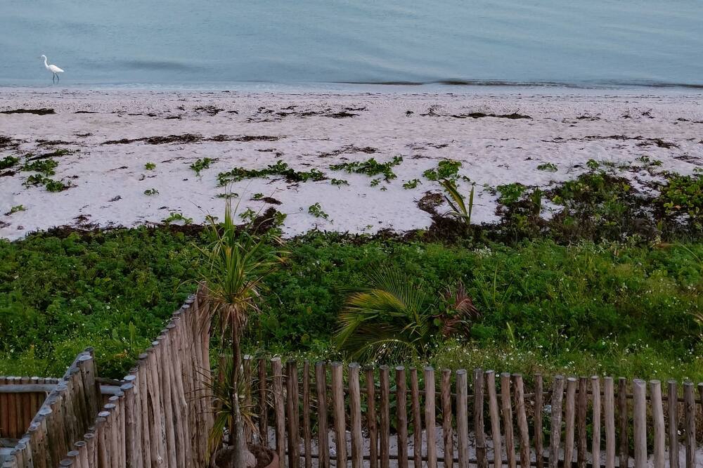 Photo of Others in Telchac Puerto