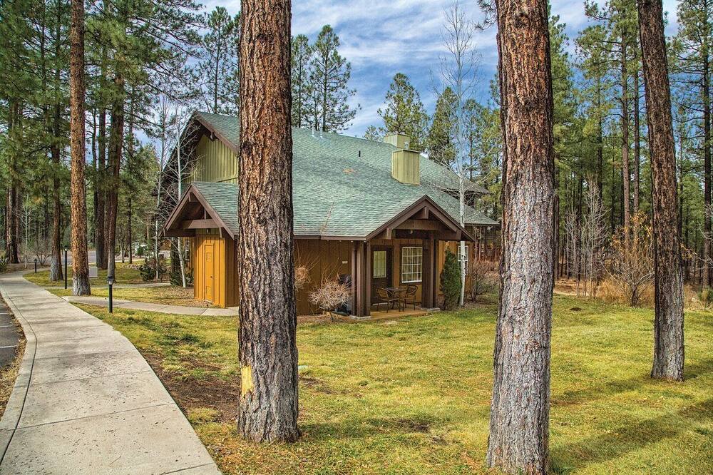 Photo of Outdoor in Pinetop