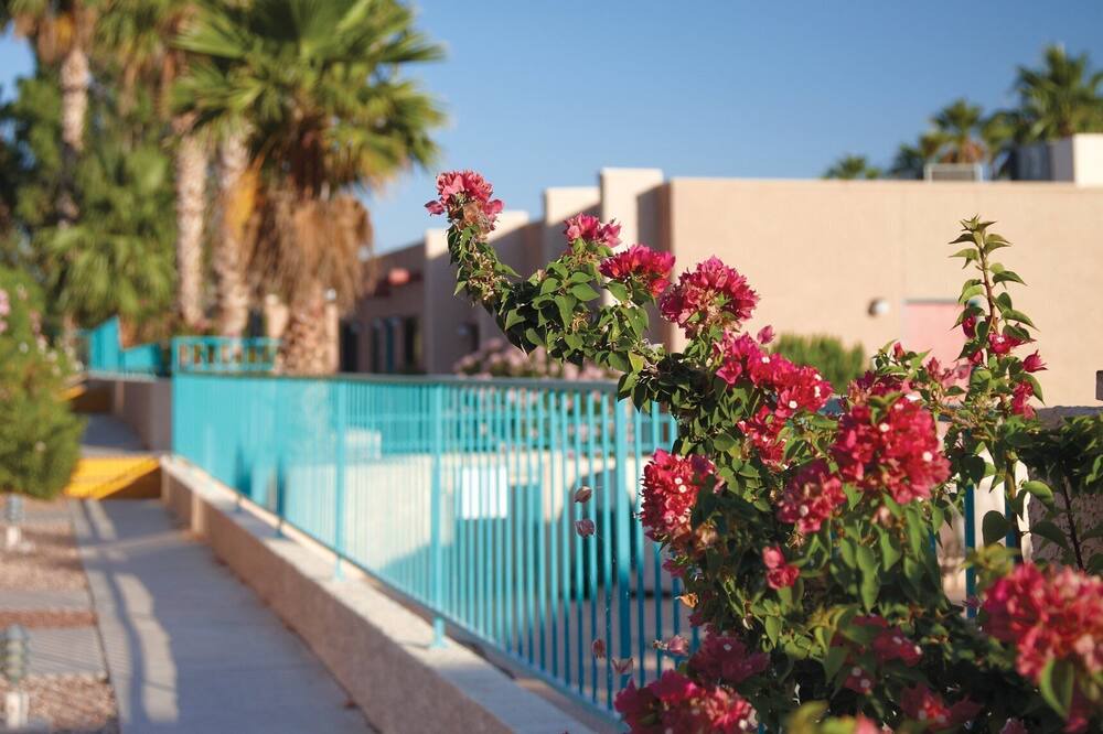 Photo of Outdoor in Lake Havasu City