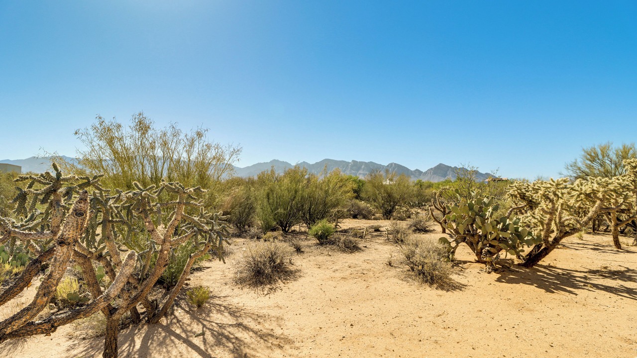 Photo of Others in Oro Valley