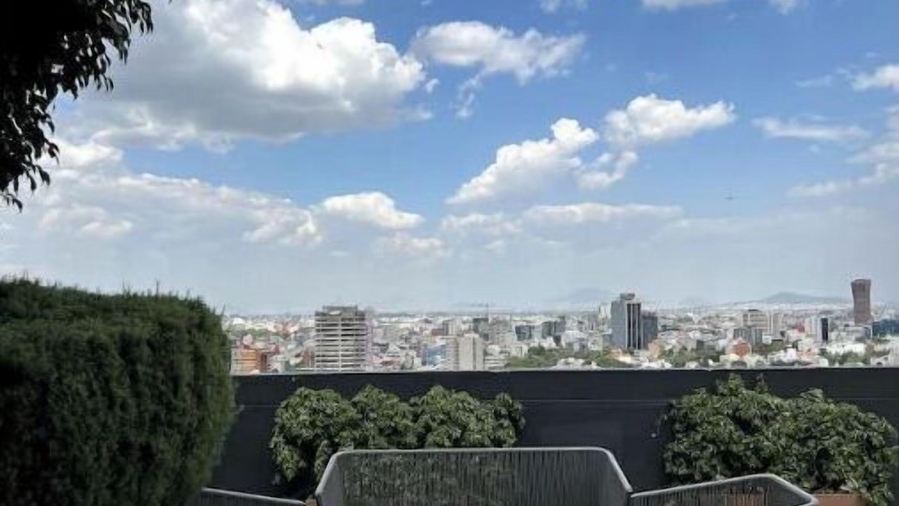 Photo of Outdoor in San Miguel Chapultepec