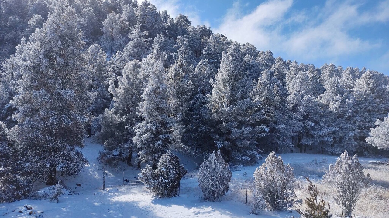 Photo of Outdoor in Creel