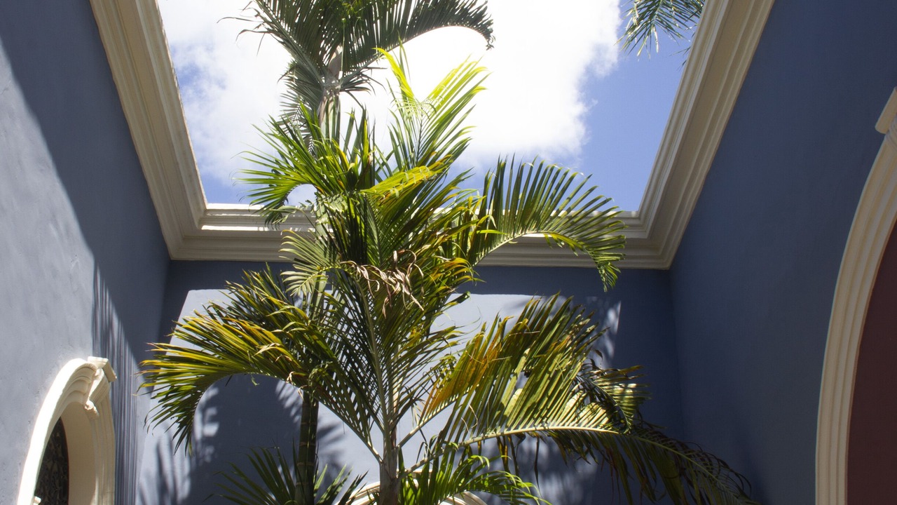 Photo of Outdoor in Barrio de Santiago