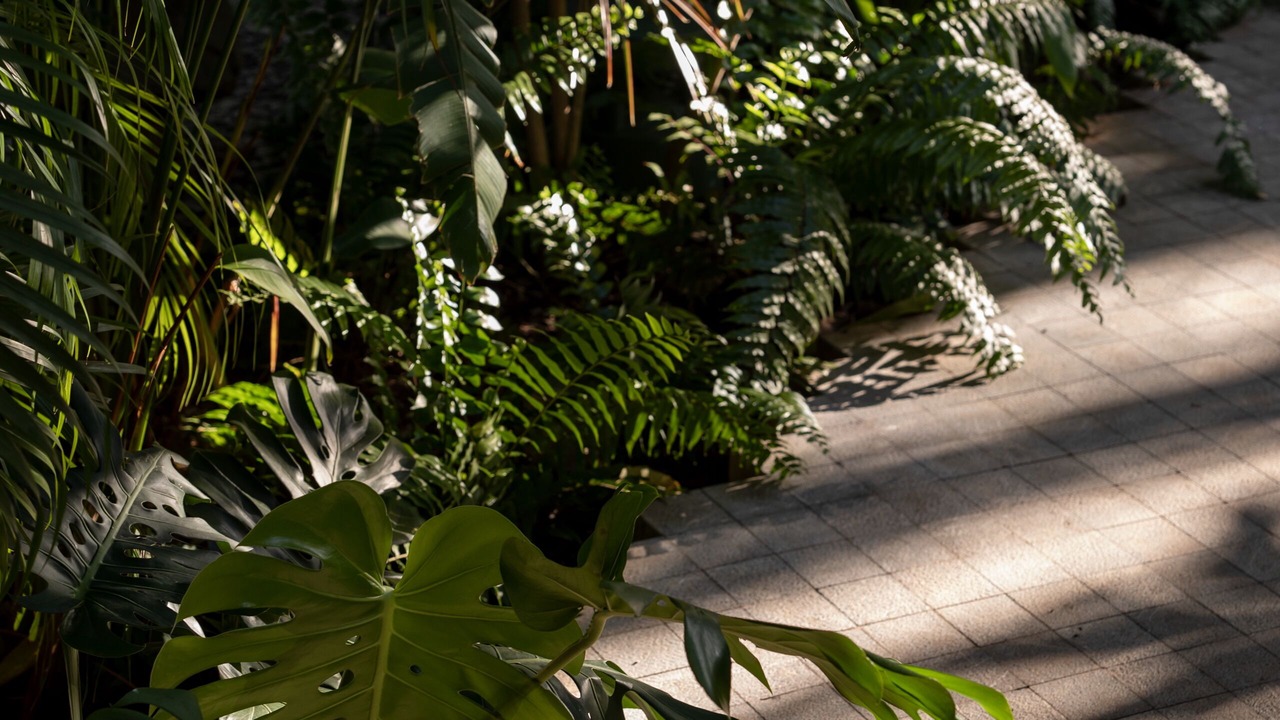 Photo of Outdoor in Barrio de Santiago