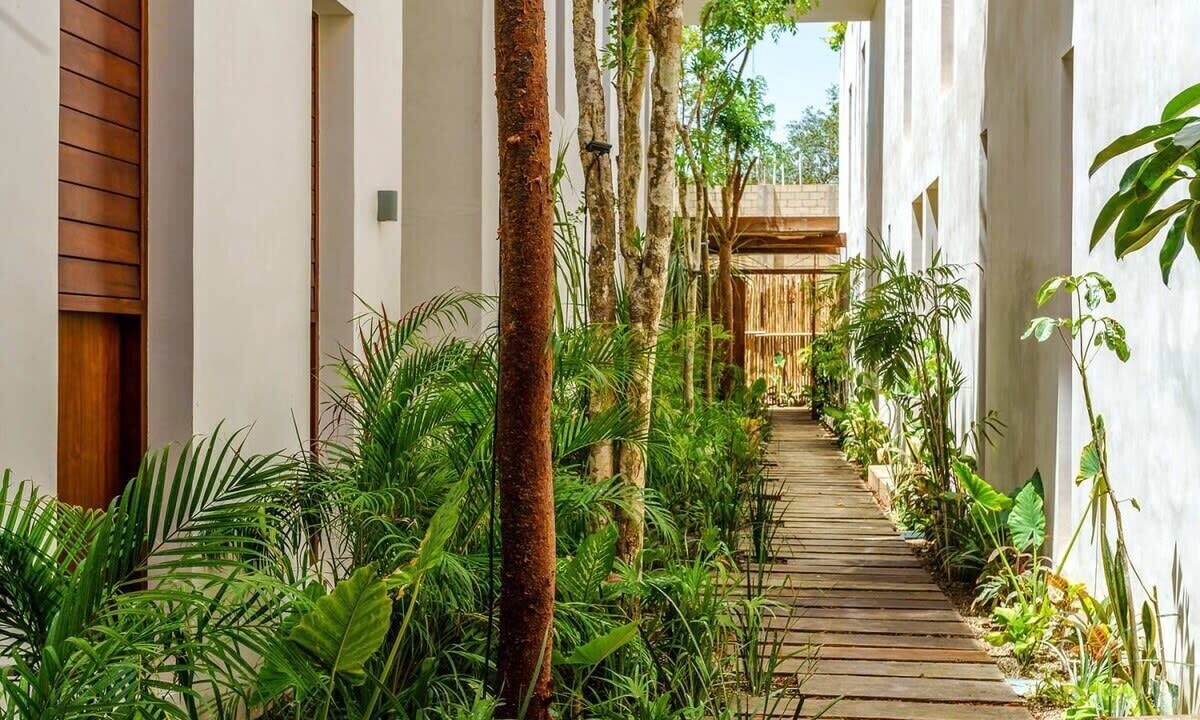 Photo of Outdoor in Zama