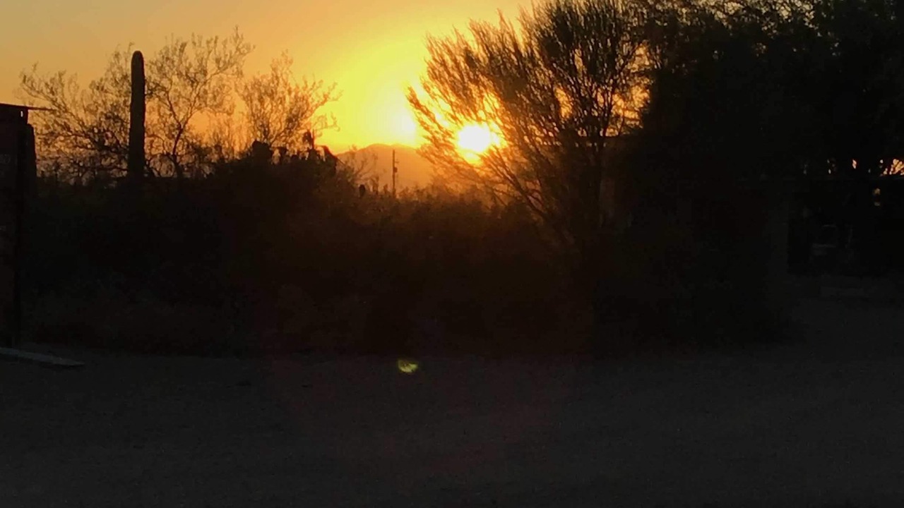 Photo of Others in Tucson Estates