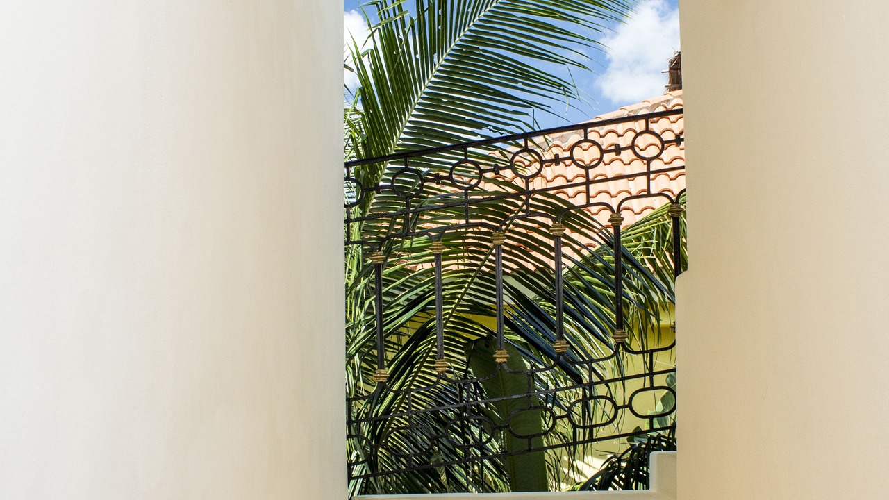Photo of Outdoor in Luis Donaldo Colosio