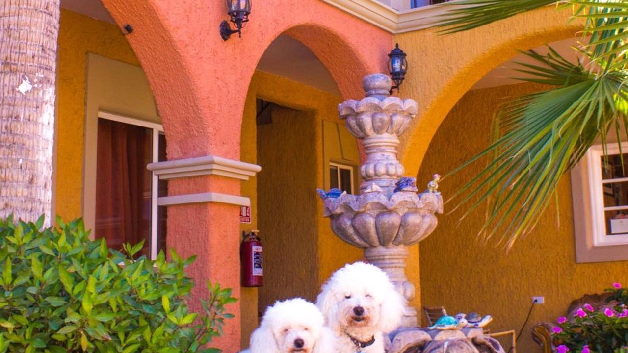 Photo of Outdoor in Loreto