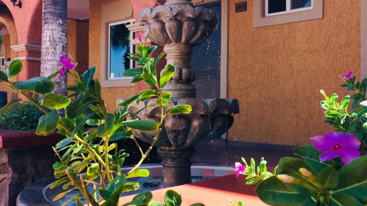 Photo of Outdoor in Loreto
