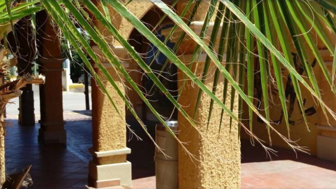 Photo of Outdoor in Loreto