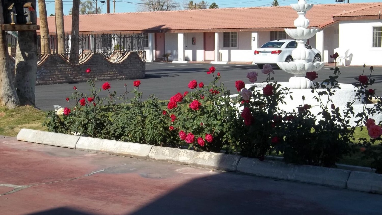 Photo of Outdoor in Yuma