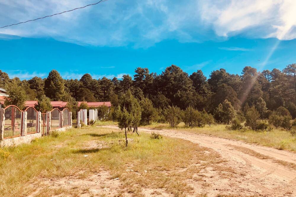 Photo of Outdoor in Creel