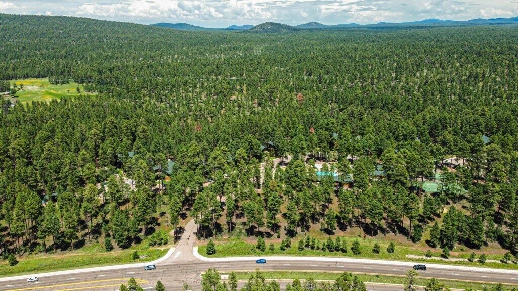 Photo of Others in Pinetop