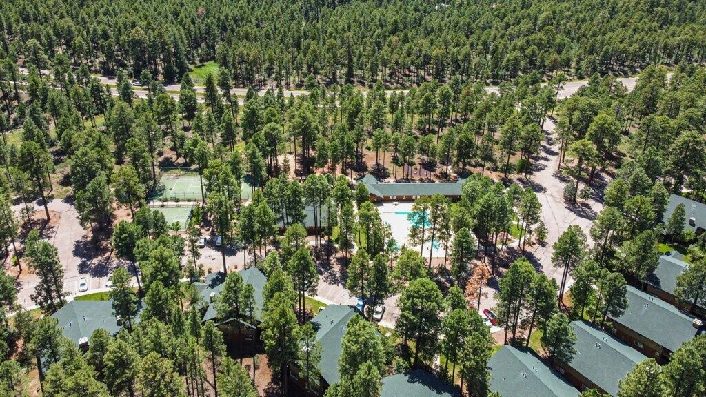 Photo of Outdoor in Pinetop