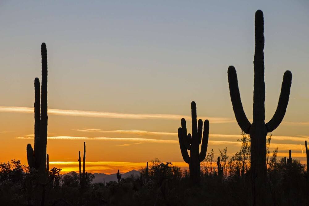 Photo of Others in Park Scottsdale One