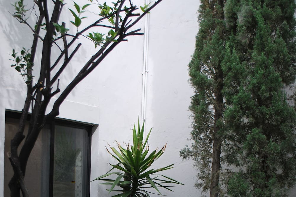 Photo of Outdoor in Centro Historico