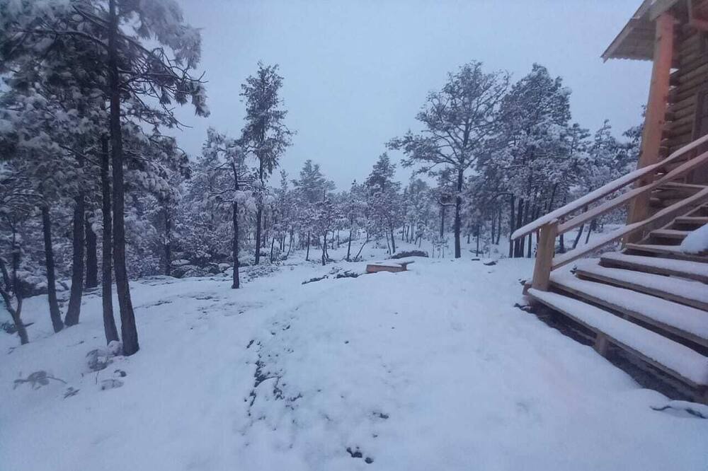 Photo of Outdoor in Creel