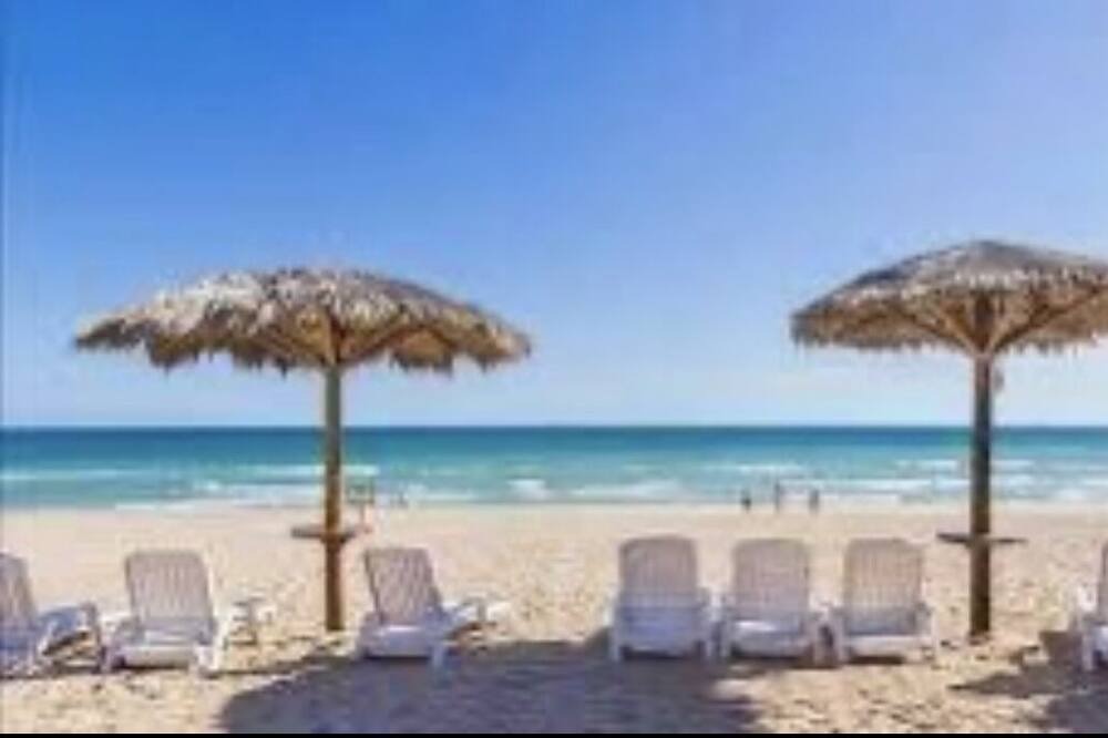 Photo of Others in Sandy Beach