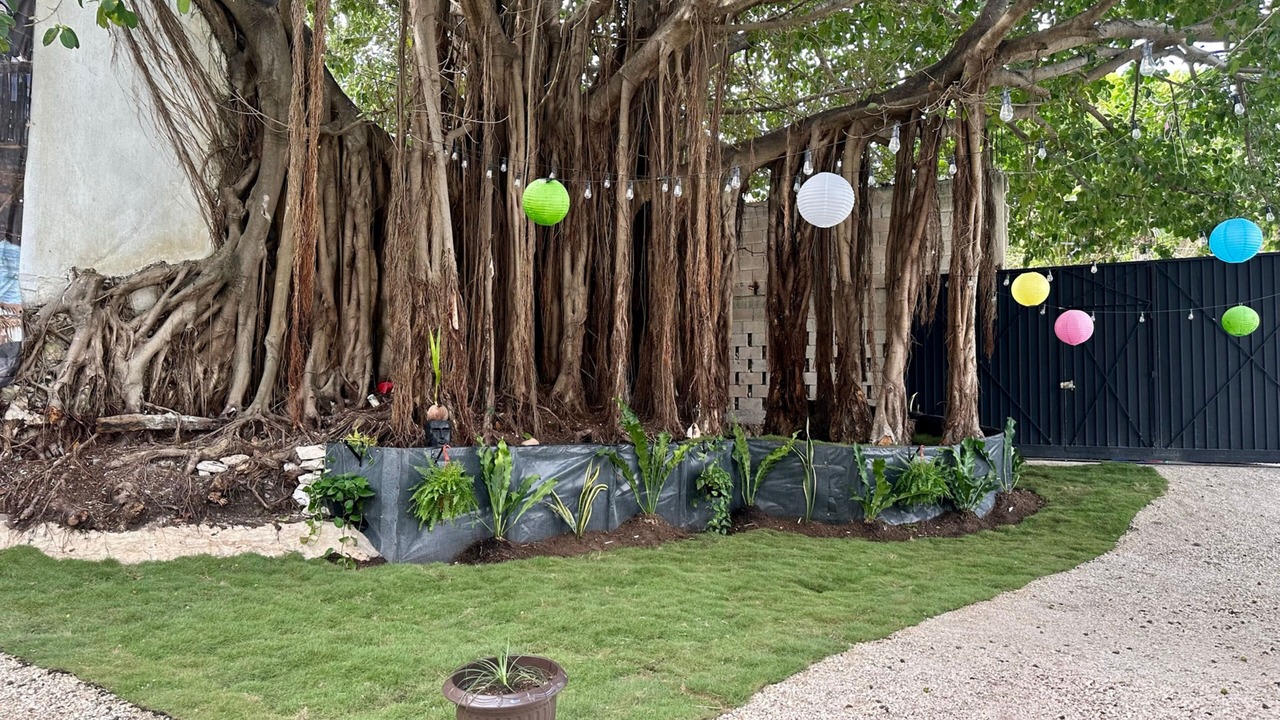Photo of Outdoor in Luis Donaldo Colosio