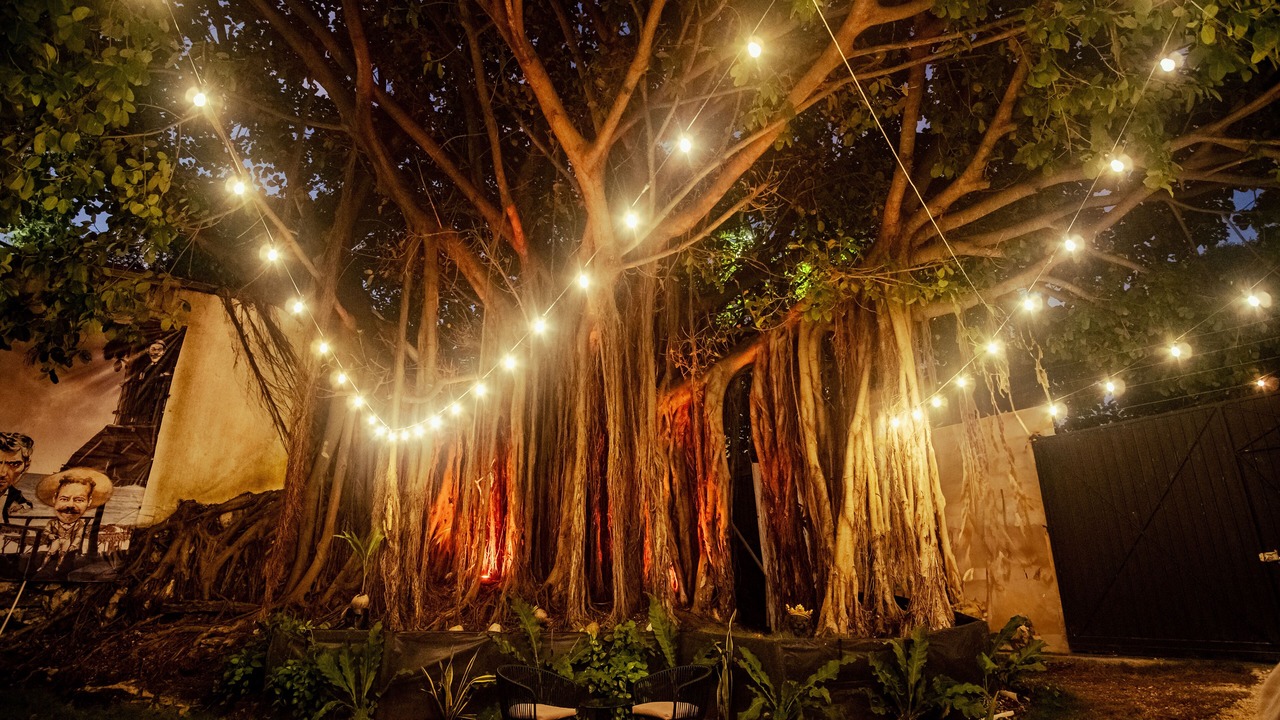 Photo of Outdoor in Luis Donaldo Colosio