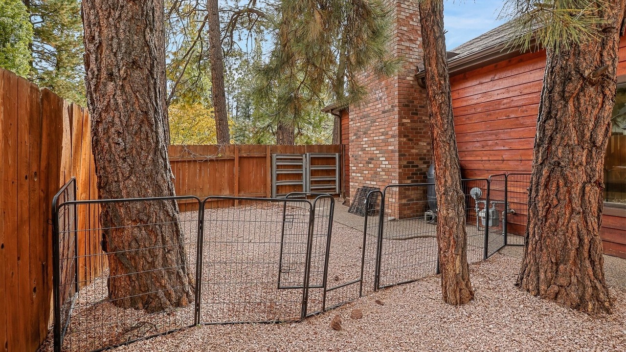 Photo of Outdoor in Flagstaff