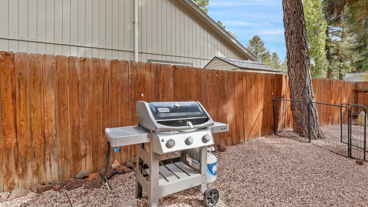 Photo of Outdoor in Flagstaff