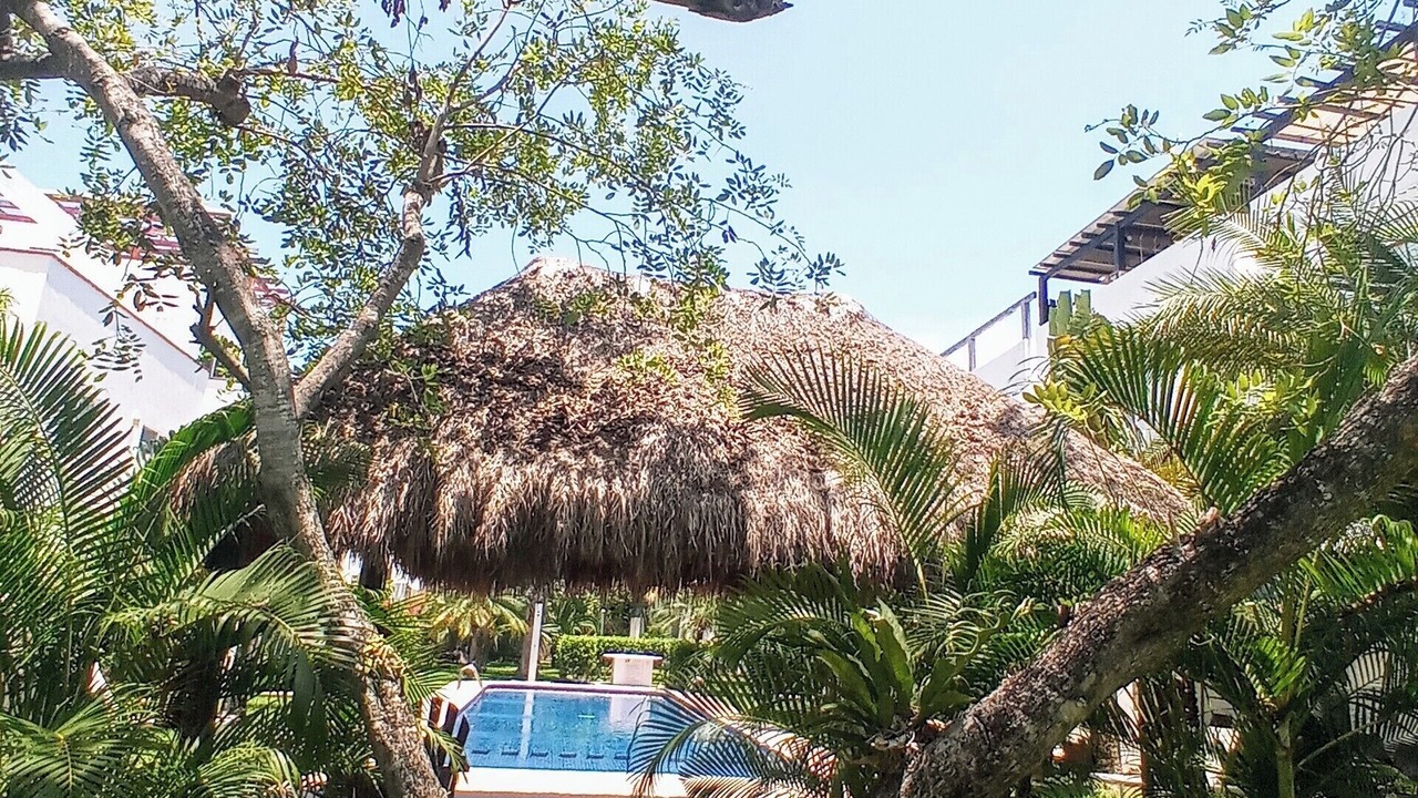 Photo of Others in Villa Juarez