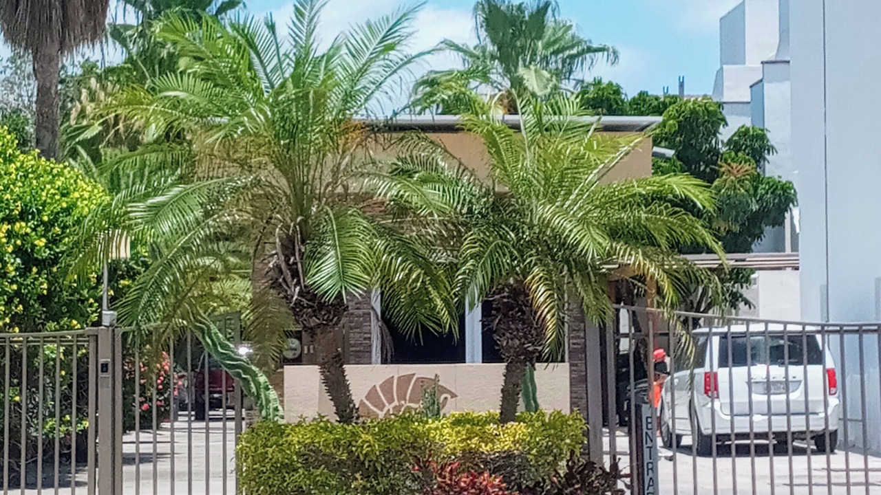Photo of Outdoor in Villa Juarez