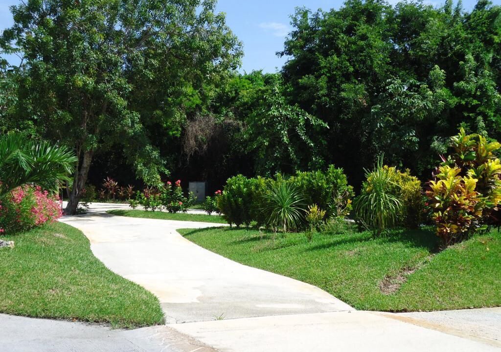 Photo of Outdoor in Villa Juarez