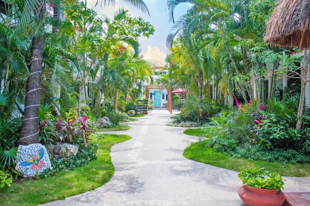 Photo of Outdoor in San Miguel