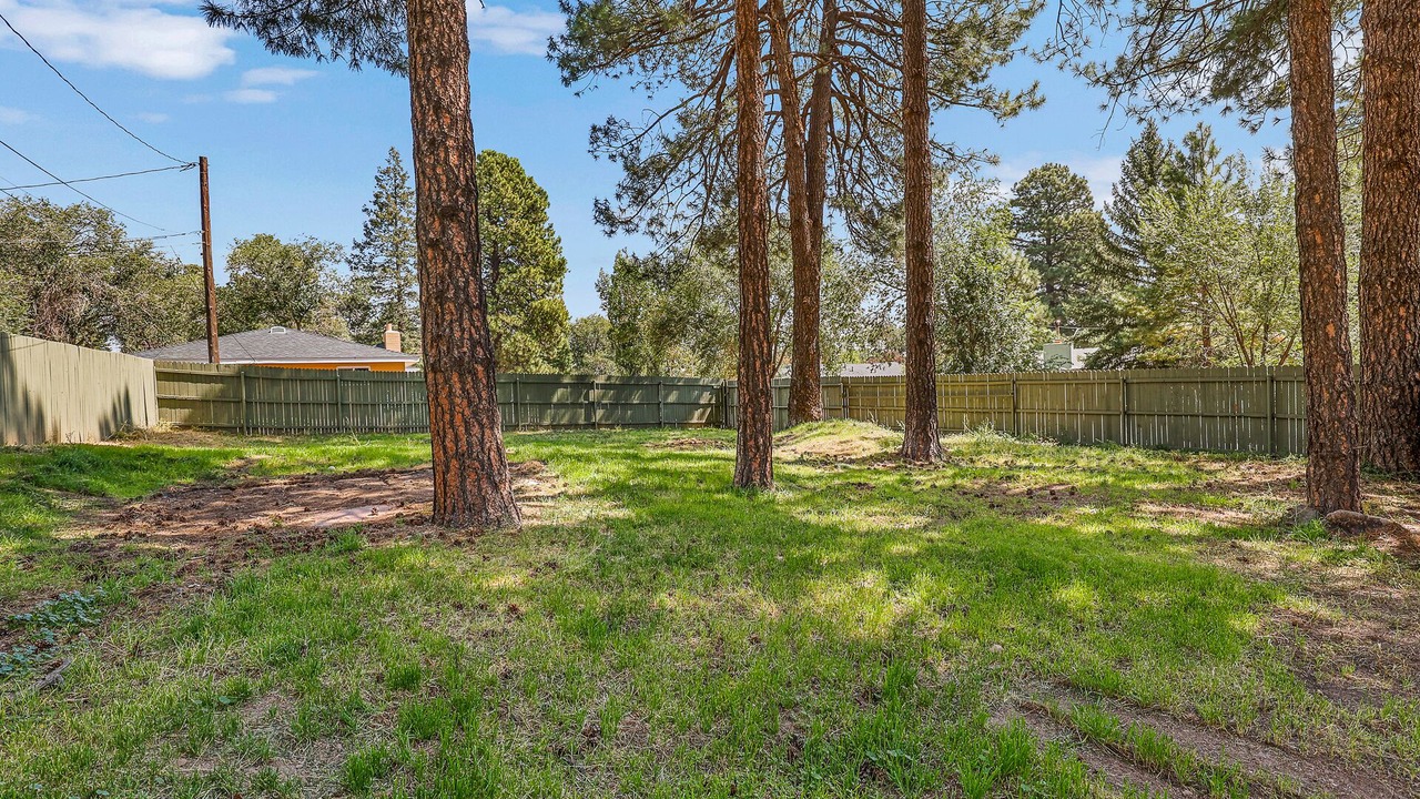 Photo of Outdoor in Flagstaff