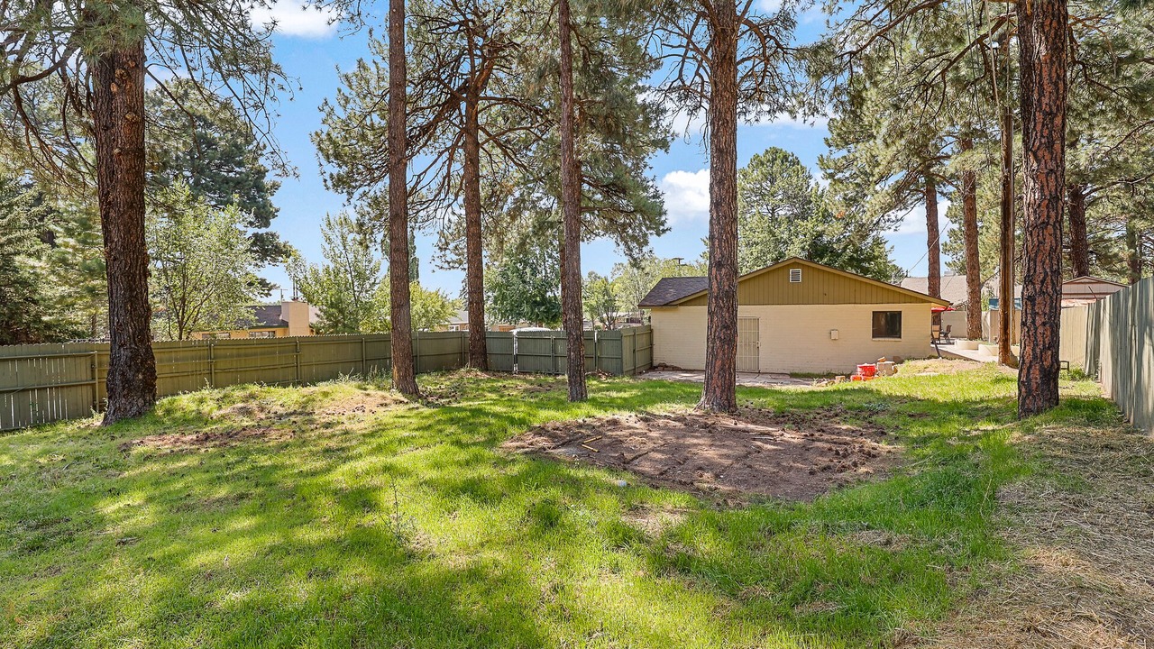 Photo of Outdoor in Flagstaff