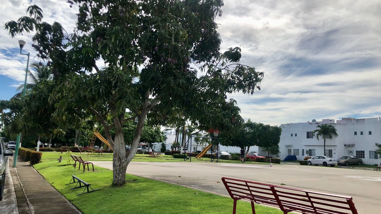 Photo of Outdoor in Las Jarretaderas