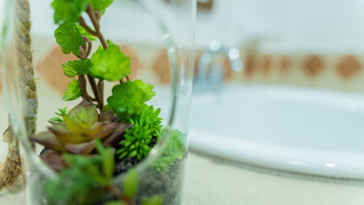 Photo of Bedroom in Centro