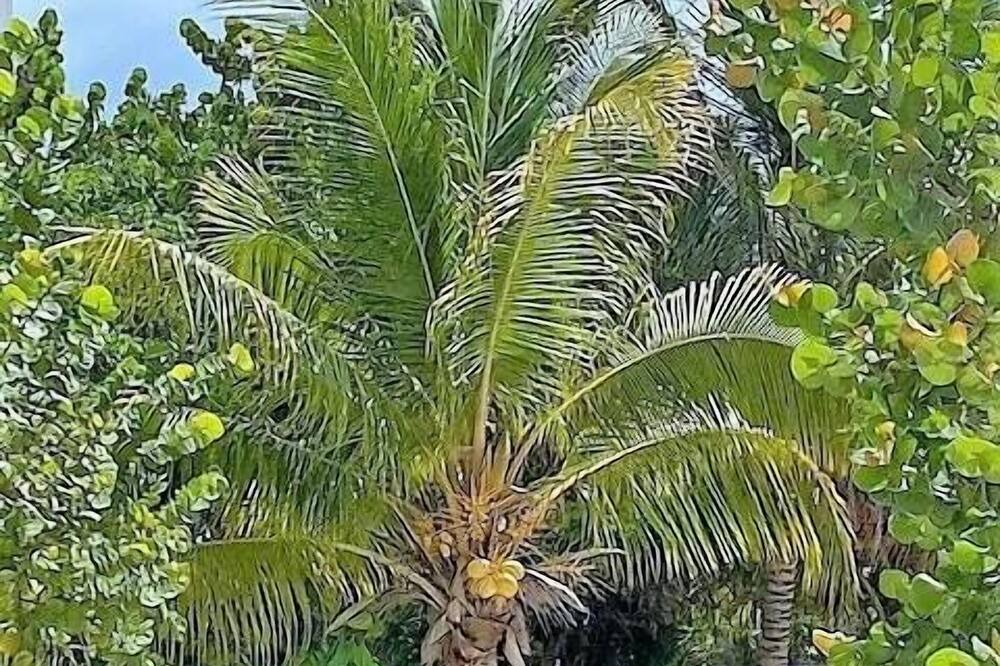 Photo of Outdoor in Merida