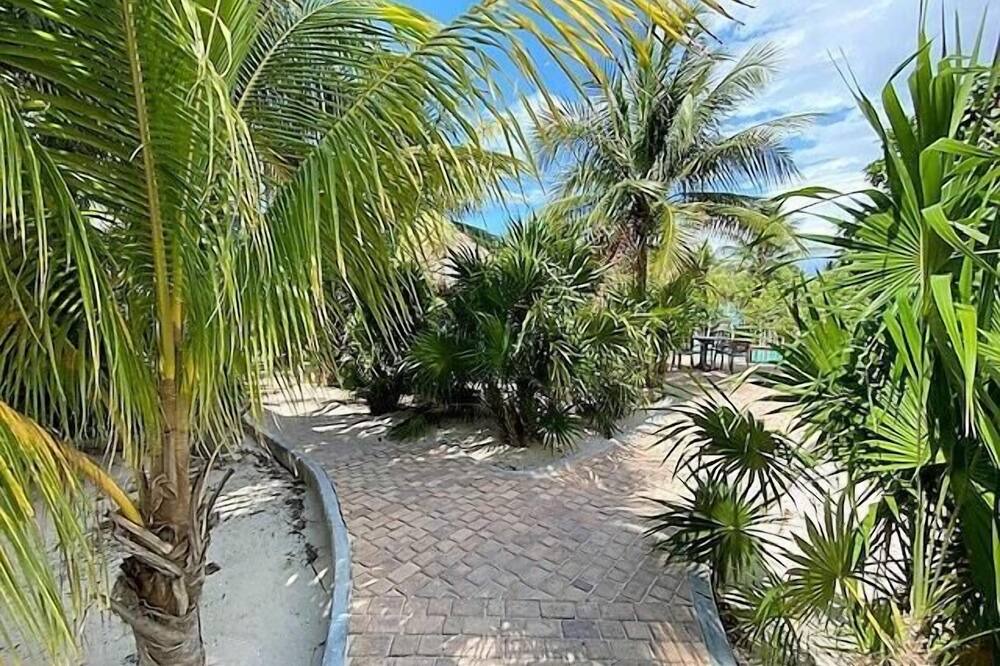 Photo of Outdoor in Merida