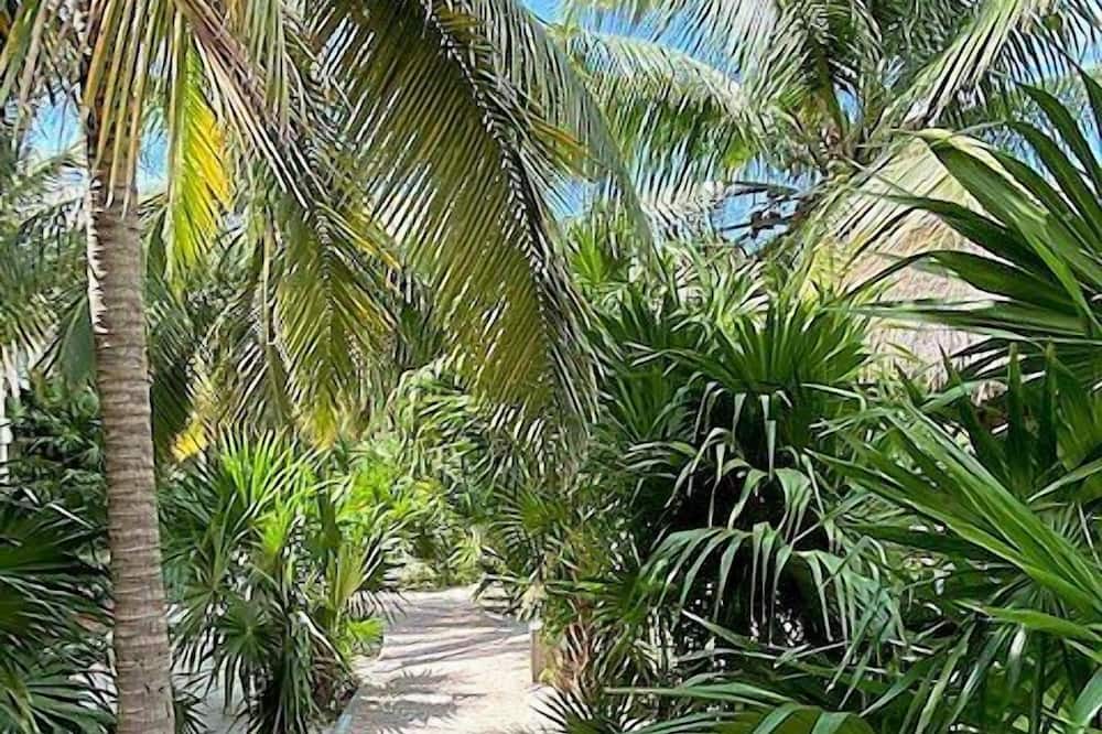 Photo of Outdoor in Merida
