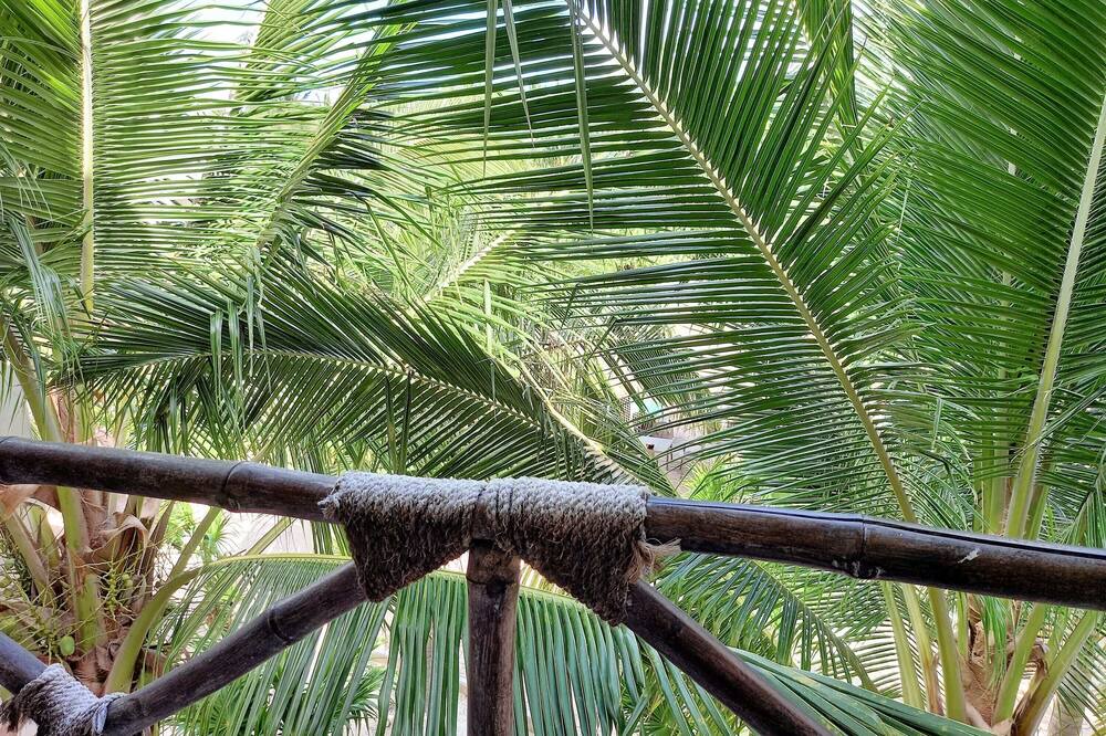 Photo of Patio Balcony in Merida