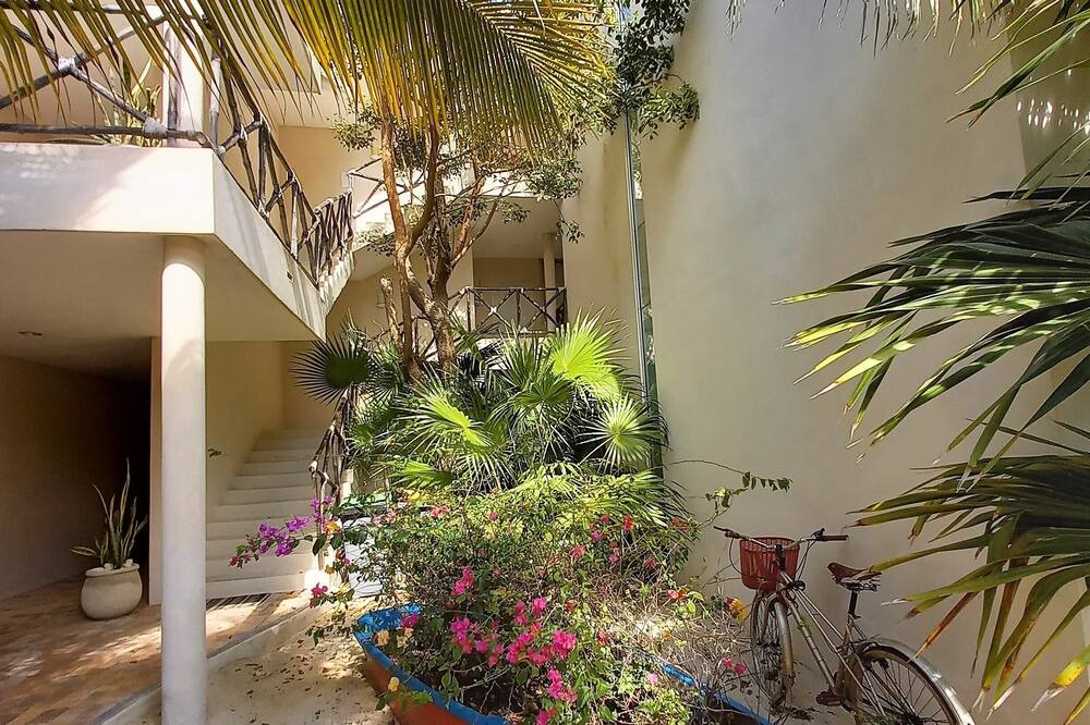 Photo of Outdoor in Merida