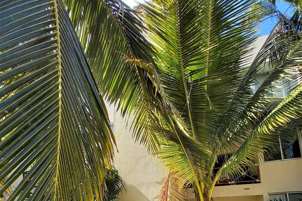 Photo of Outdoor in Merida