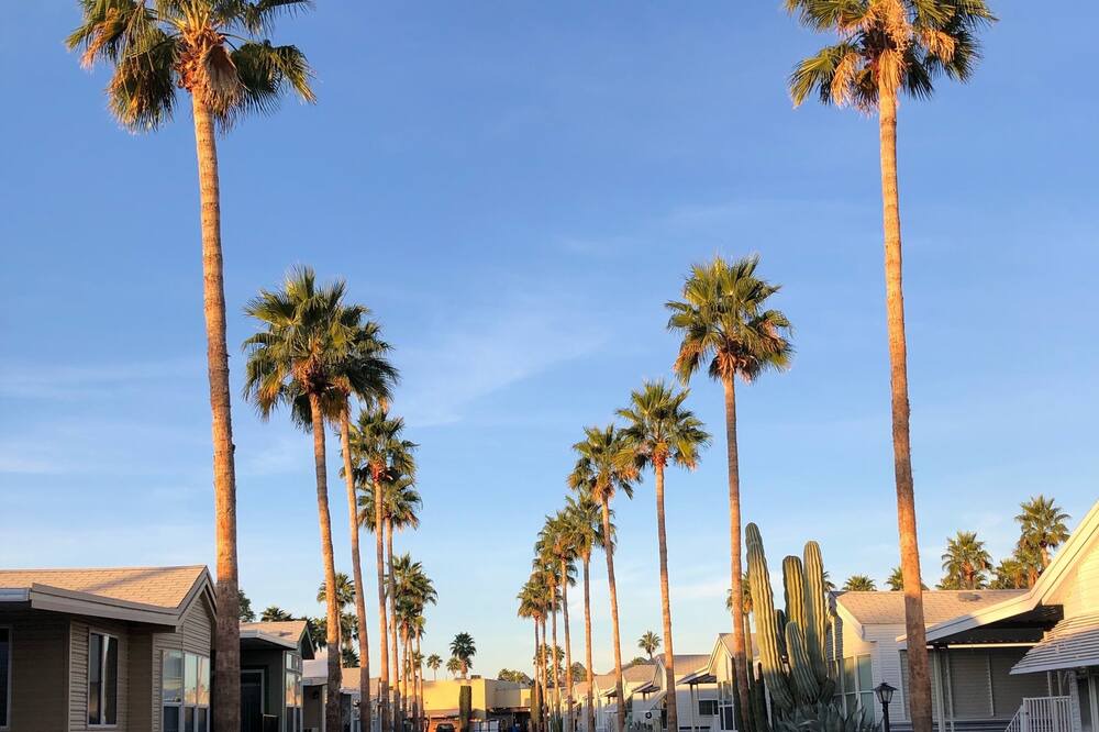 Photo of Outdoor in Tucson