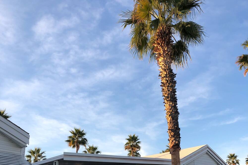 Photo of Outdoor in Tucson