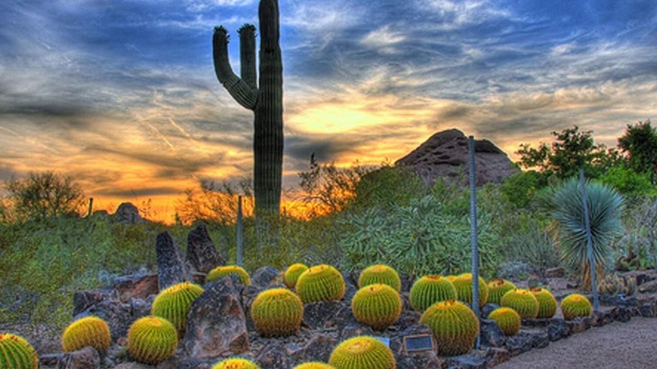 Photo of Outdoor in Entertainment District