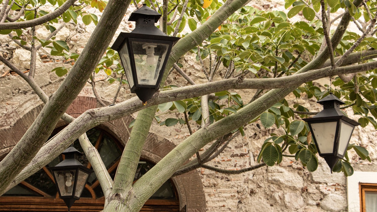 Photo of Outdoor in Zona Centro