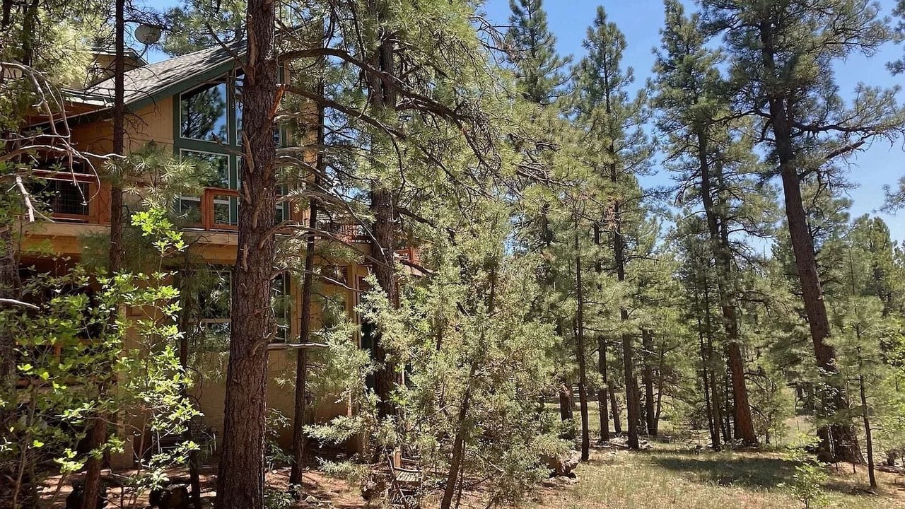 Photo of Outdoor in Munds Park