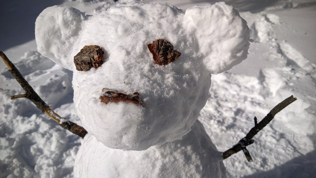 Photo of Others in Wrightwood