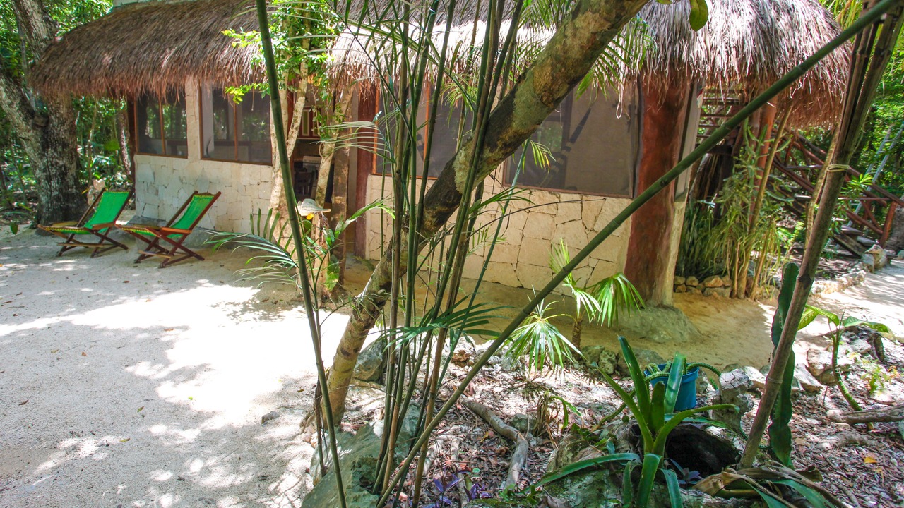 Photo of Outdoor in Akumal
